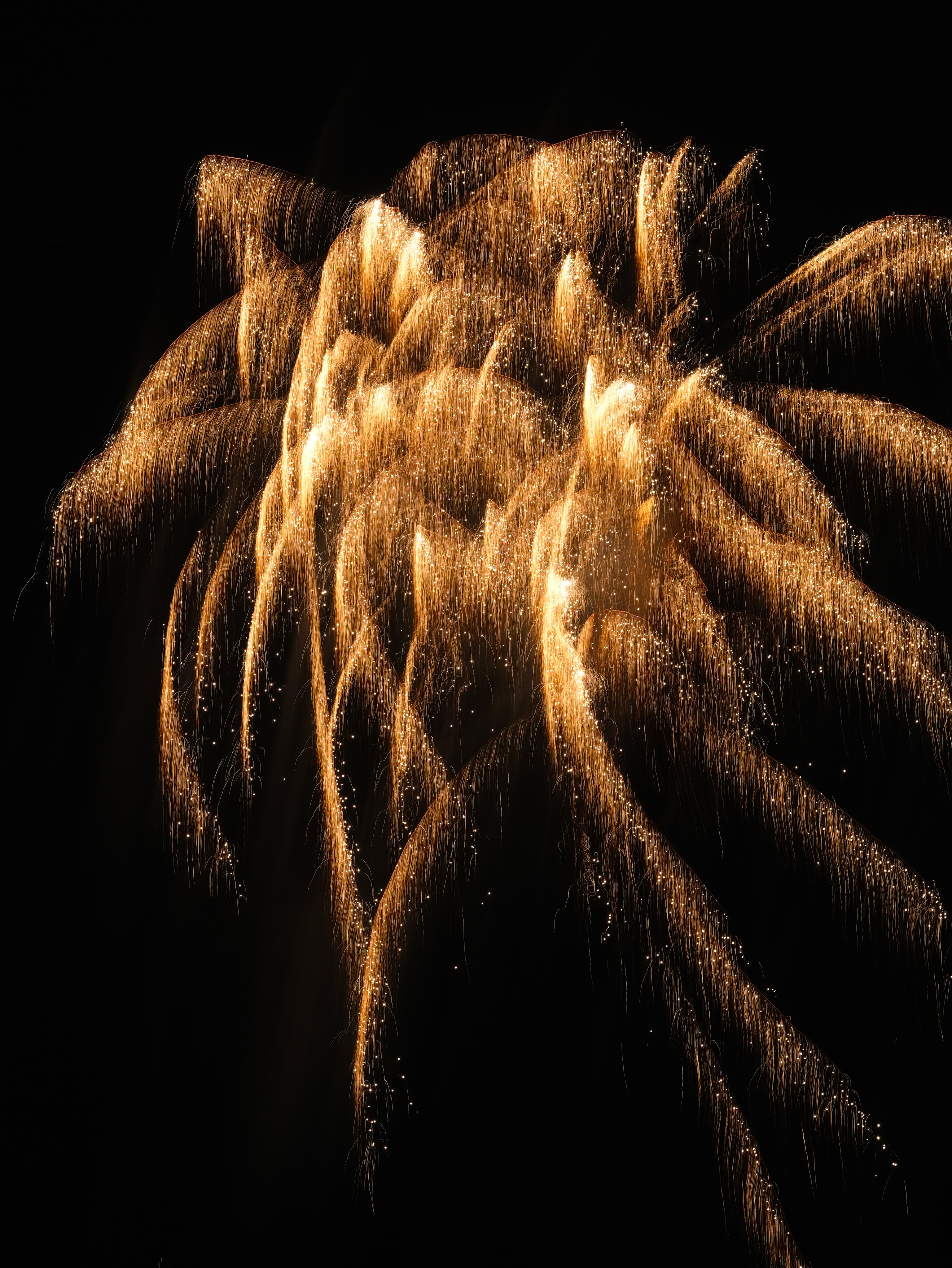 Fireworks Photo 10