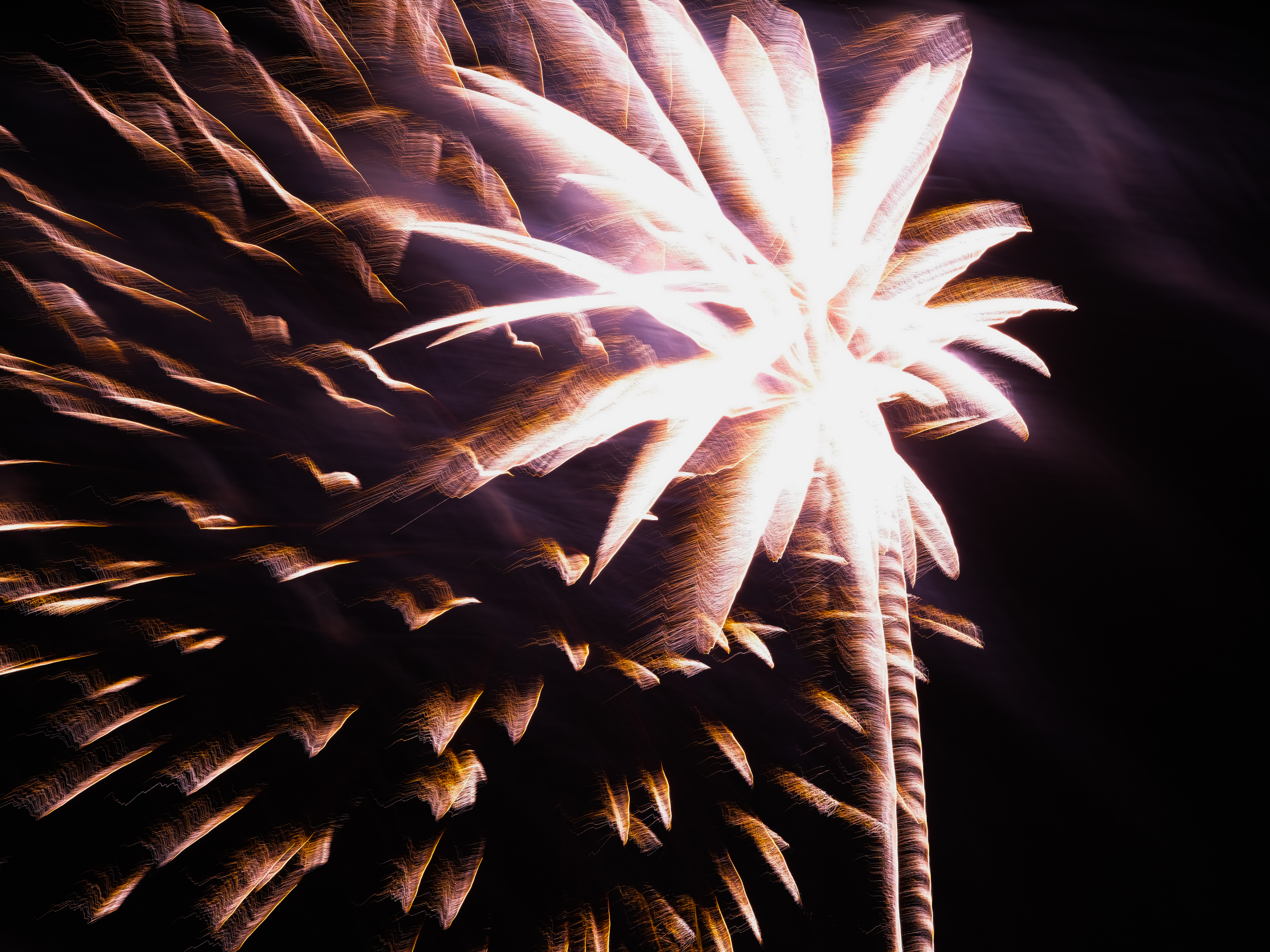 Fireworks Photo 9