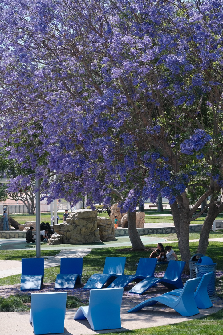 Irvine Photo 3