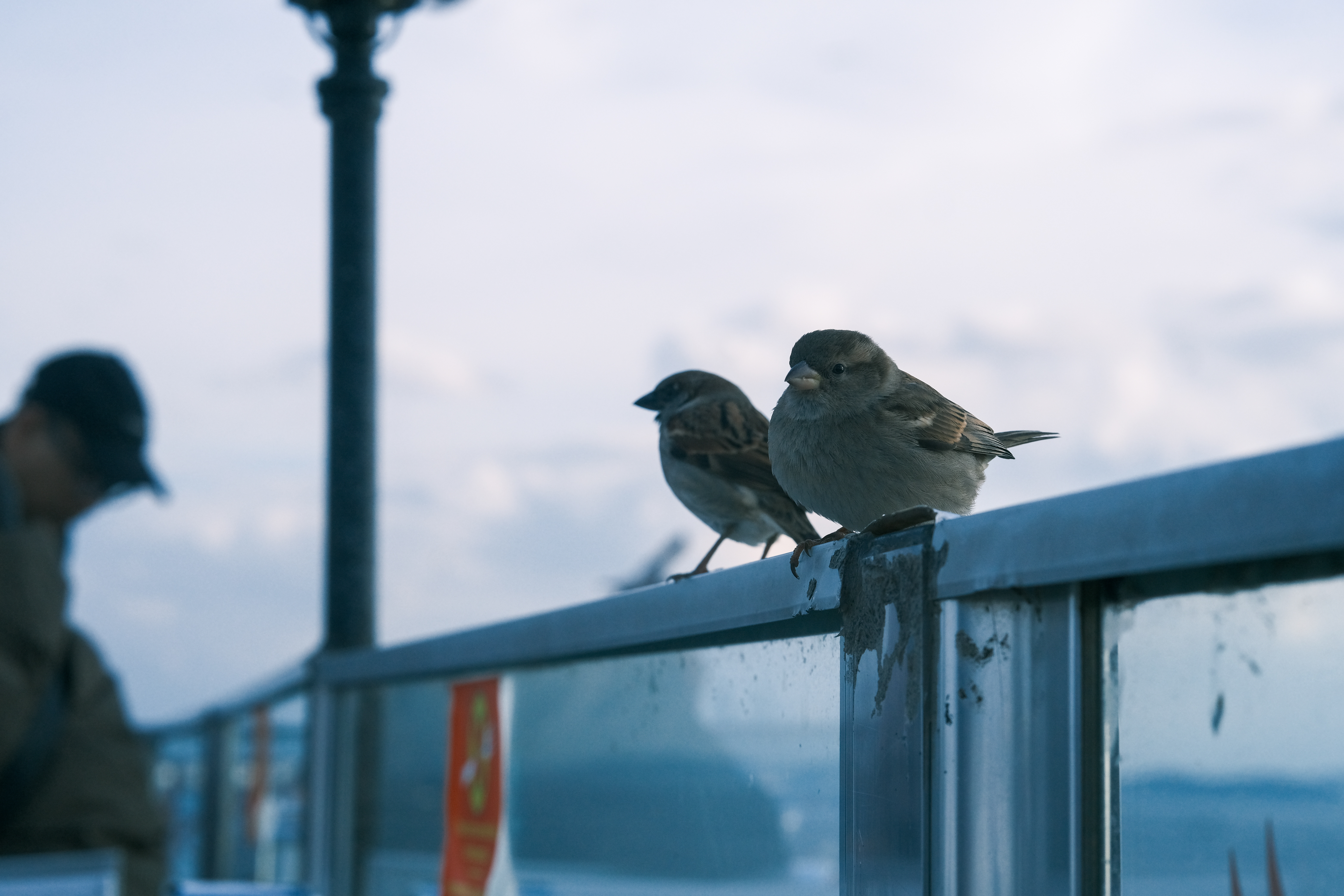 Istanbul Photo 14