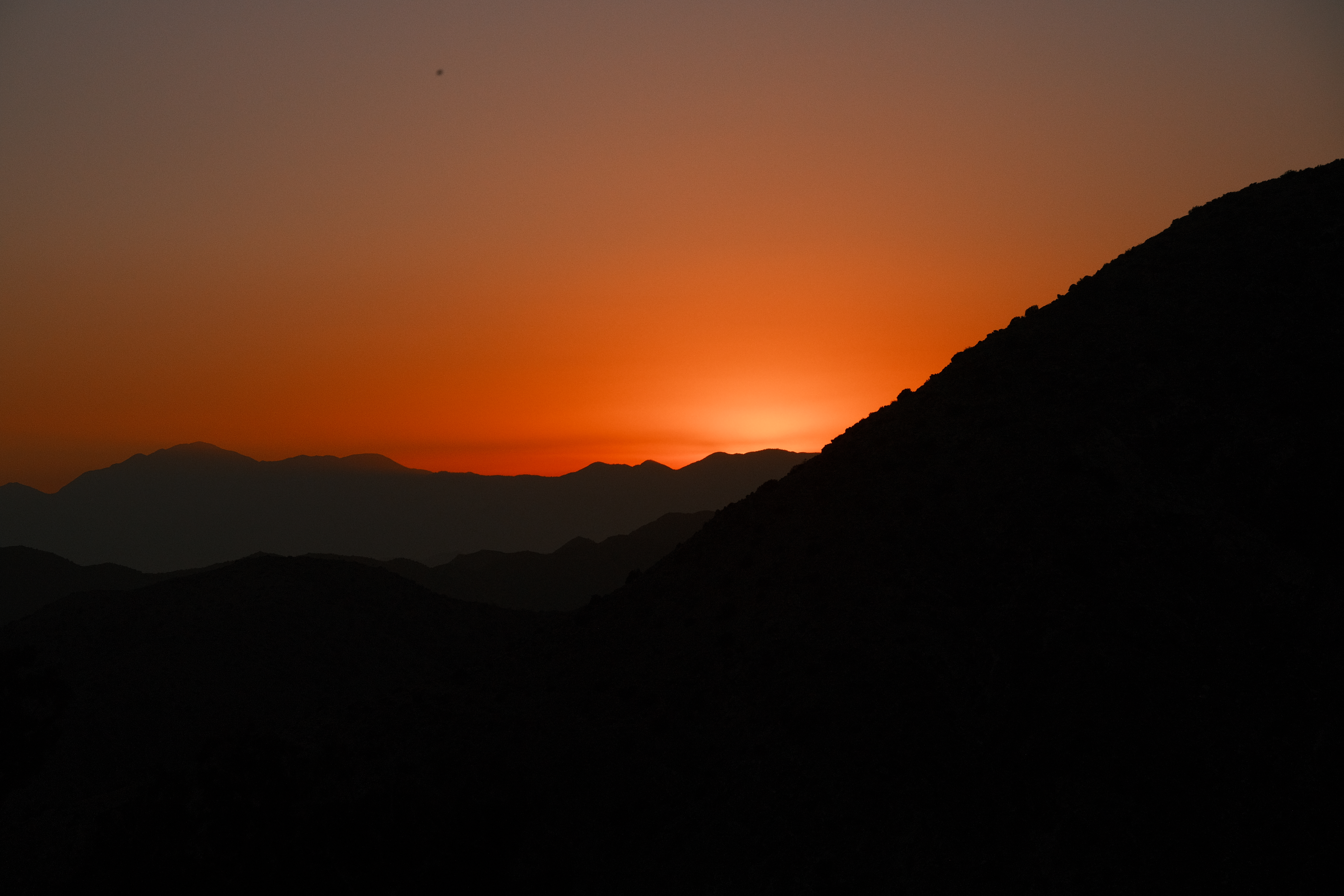 Joshua Tree Photo 5