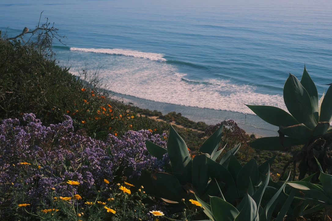 Sea in La Jolla Photo 1