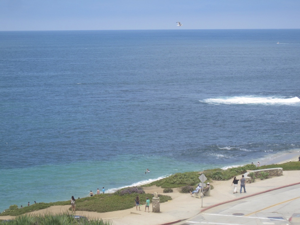 Sea in La Jolla Photo 11