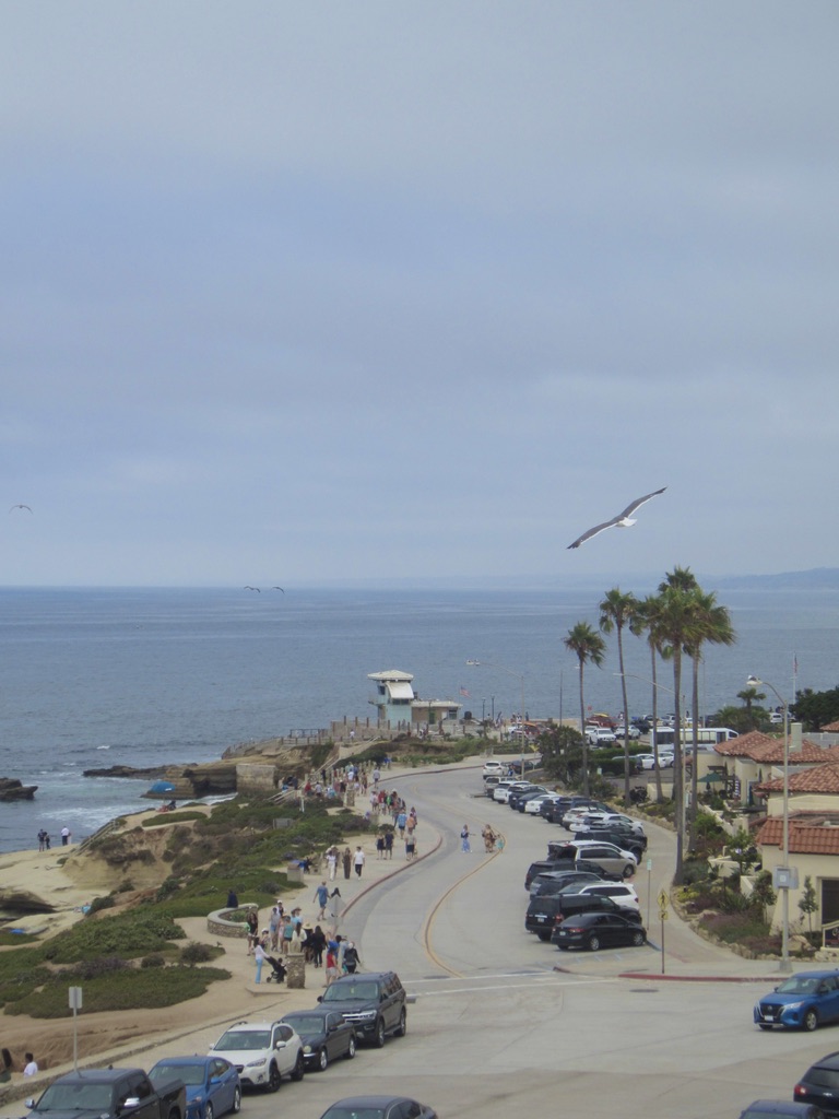 Sea in La Jolla Photo 16