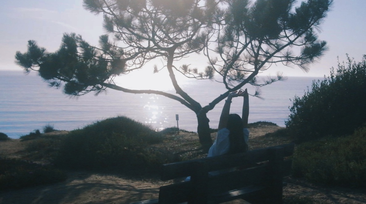 Sea in La Jolla Photo 17