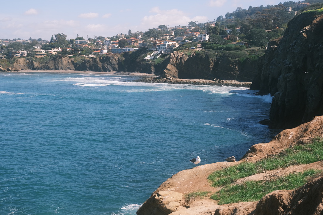 Sea in La Jolla Photo 18