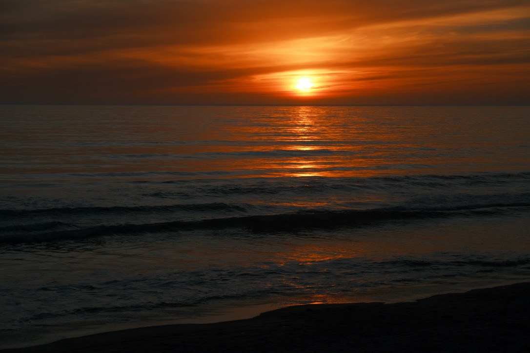 Sea in La Jolla Photo 19